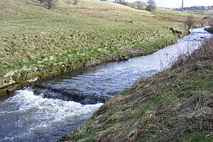 River Beal