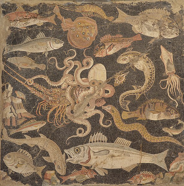 File:Fish Catalogue mosaic , Naples National Archaeological Museum.jpg