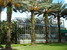 The Wertheim Conservatory houses many rare species of plants and foliage. Fiuarboretum.JPG