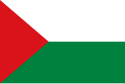 Cantone di Río Verde – Bandiera