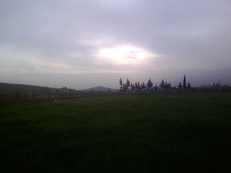 File:Fog in Darayya.jpg