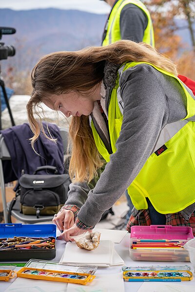 File:Foothills Parkway Community Day, November 8, 2018--Joye Ardyn Durham (45058368245).jpg