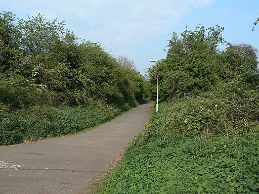 Footpath on the old railway - geograph.org.uk - 2366448