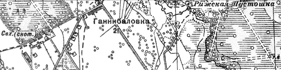 Рижская Пустошь на карте 1939 года