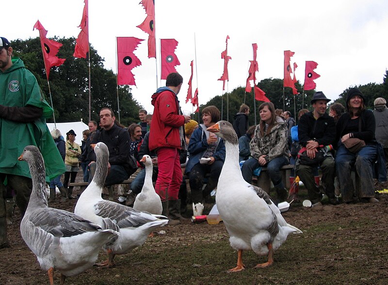 File:Geese at Bestival 2008.jpg