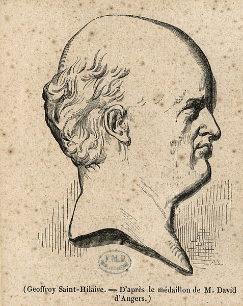 File:Geoffroy Saint-Hilaire, Etienne (1772-1844) CIPA0500.jpg