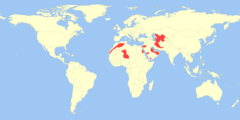 Geographic range of sand cat.png