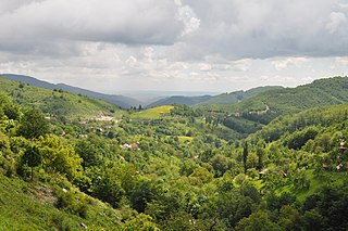 <span class="mw-page-title-main">Mehedinți Plateau Geopark</span> Romanian protected area