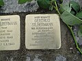 image=File:Gertrud_Silbermann_Stolperstein_Dresden.JPG