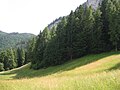 Großwiese unterhalb der Königswiese im Naturpark Trudner Horn