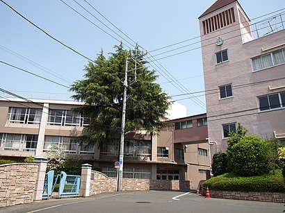 白鵬女子高等学校への交通機関を使った移動方法