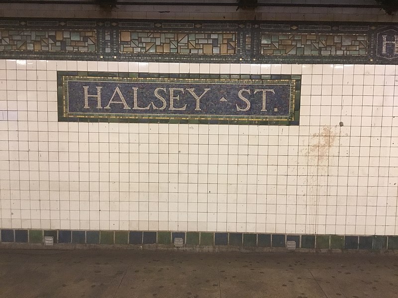 File:Halsey Street Mosaic Tile.jpg