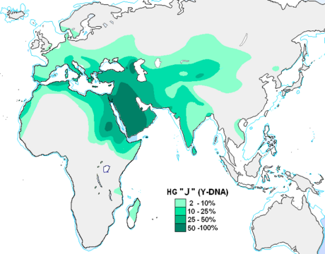 Haplogroup J (Y-DNA)