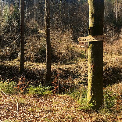 Hauptmannswaldweg Rammert bei Tübingen.jpg