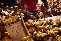 An "Agricola" grocery market in Havana (La Habana), Cuba