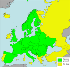 Območje razširjenosti velikega vrtnega polža v Evropi