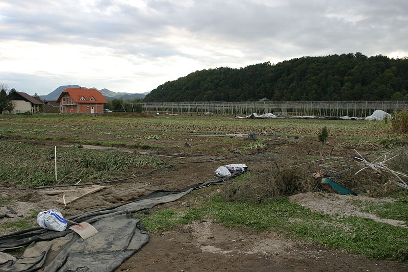 File:Hudinja arclin poplavna ravnica2007.jpg