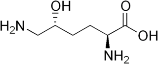 <span class="mw-page-title-main">Hydroxylysine</span> Chemical compound