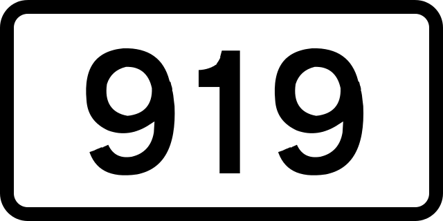 919. 919 Число на аватарку.