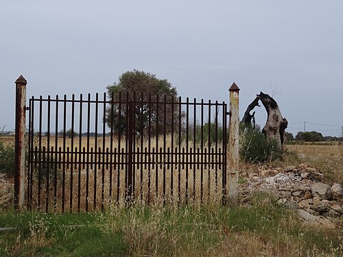 Gittertor zu Grundstück in Italien