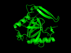 Inorganic cPPase I