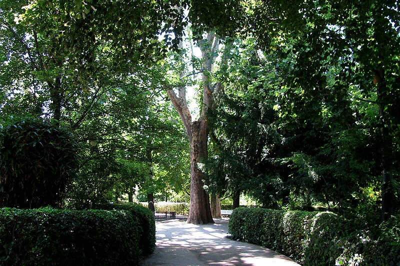 File:Jardin Botanico (28) (9376562115).jpg