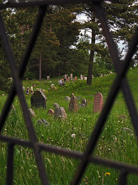 File:Jewish Cemetery in Druja - panoramio - Andrej Kuźniečyk.jpg