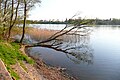 Езеро „Велке Олецке“