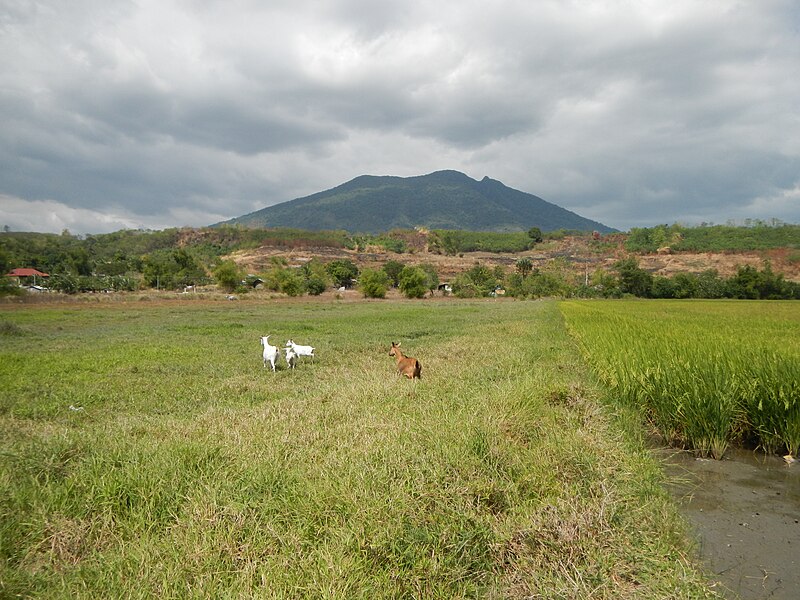 File:JfGatiawinHallArayat454fvf.JPG