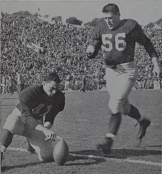 <span class="mw-page-title-main">Jim Brieske</span> American football player (1923–1968)