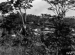 Kaffeepflanzung bei Cuemba, 1931–1932