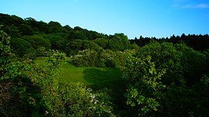 View from the north-west over the steep slope