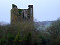 Thumbnail for Kilcrea Castle