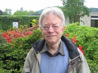 <span class="mw-page-title-main">David Kinderlehrer</span> American mathematician