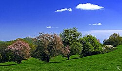 Horizonte de Baixa Ibéria