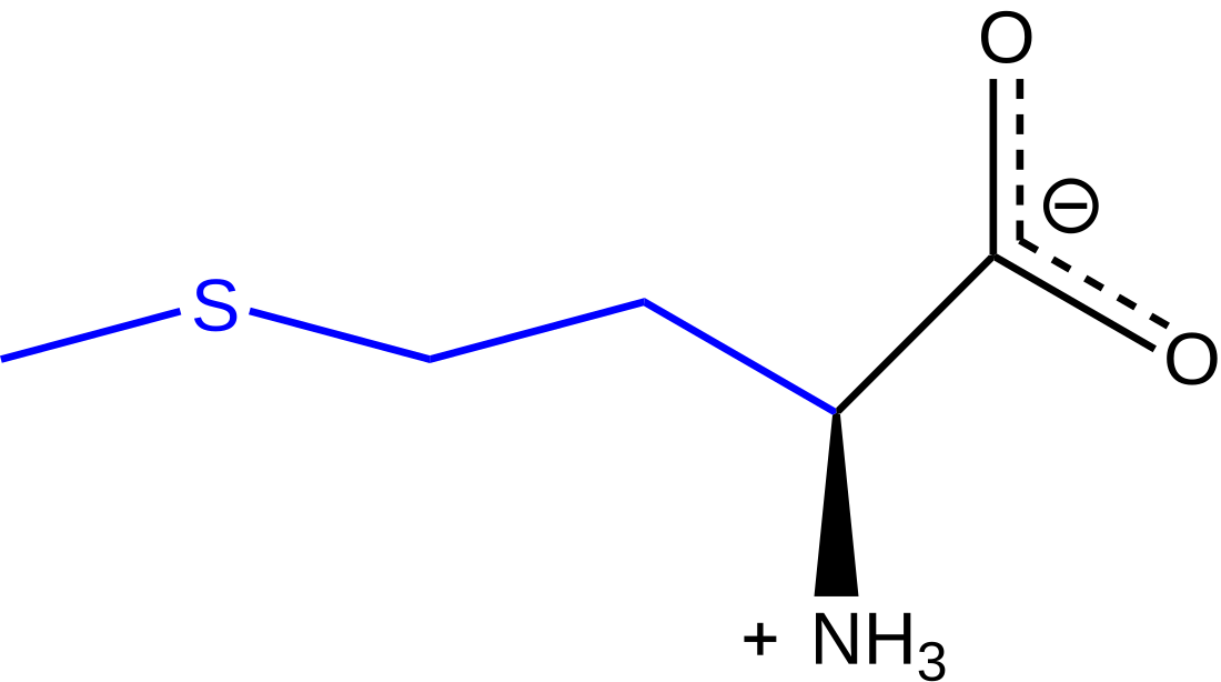甲硫氨酸