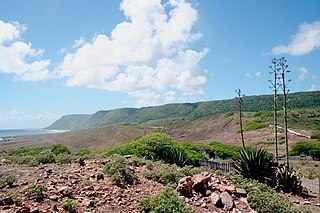 <span class="mw-page-title-main">La Désirade National Nature Reserve</span>