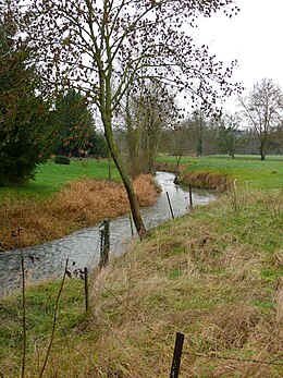 La Selle à Croéssy-su-Celle.