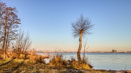 Fail:Langweerderwielen-Langwarder Wielen. 19-03-2021. (actm) 01.jpg