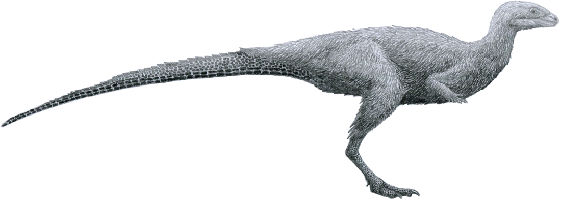 Laquintasaura