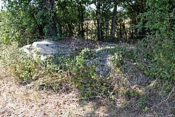 Imagen ilustrativa del artículo Menhir du Champ du Rocher