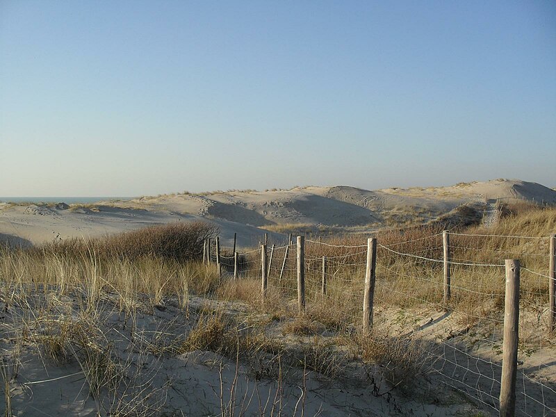 File:Les Dunes du Touquet le long de la Promenade de la Corniche - Le Touquet-Paris-Plage.jpg