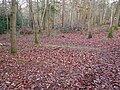 Linear earthwork on Keston Common at Keston.