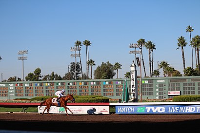 How to get to Los Alamitos Race Track with public transit - About the place