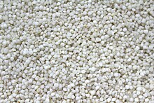 Indian millet grains MILLET grains India.jpg