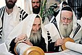 Rabinos leyendo la Torá ante el Kotel durante la plegaria matinal de Sucot, 2011.