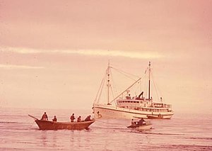 A baidara, or "bidarrah," better known today as an Umiak, is towed out to US FWS Penguin II to unload her while she rides at anchor in the Bering Sea off the Pribilof Islands in 1961. The lack of docking facilities for Penguin II in the Pribilofs necessitated this time-consuming method of lighterage there at the time. MV Penguin II baidar.JPG