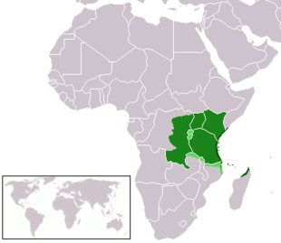      aree dove il swahili o il Comoriano è la lingua madre
     lingua ufficiale o nazionale
     lingua commerciale