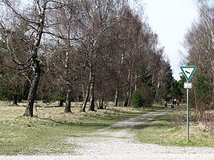 Path on the western edge of the area north of St. Martin's Church