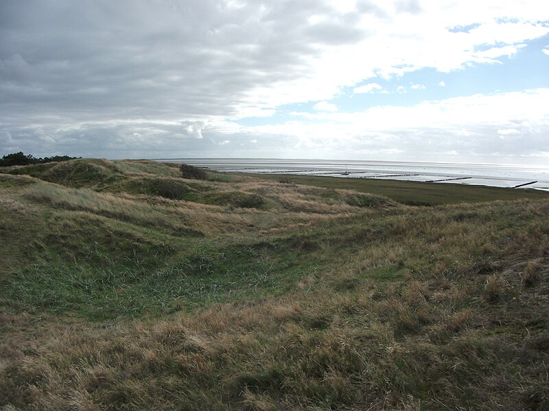 File:MandoDunes2013.JPG